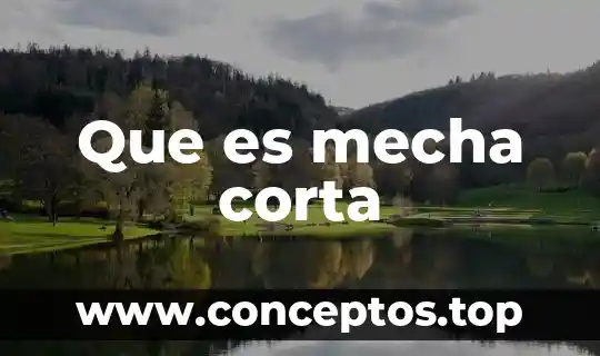 Que es mecha corta