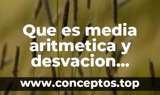 Que es fraccion homogeneas significado de la aritmetica 4 Que es media aritmetica y desvacion estandar