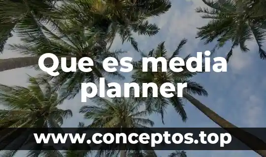 Que es media planner