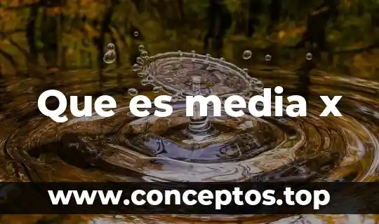 Que es media x