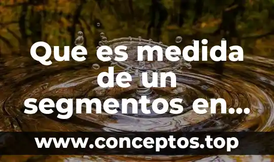Que es la unidad y medida de actualizacion 4 Que es medida de un segmentos en matemáticas