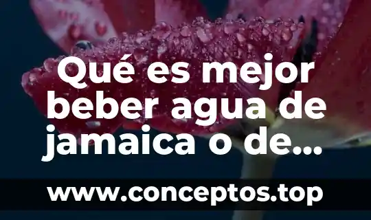 Qué es mejor beber agua de jamaica o de jengibre