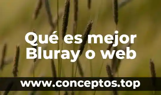 Que es un header web 5 Qué es mejor Bluray o web