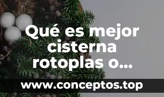 Qué es mejor un rebote Yorbi o Cervinwega 7 Qué es mejor cisterna rotoplas o convencional