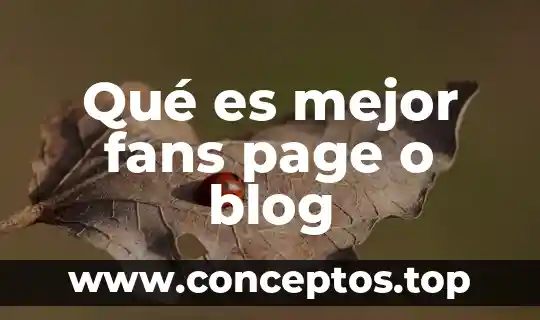 Qué es mejor fans page o blog