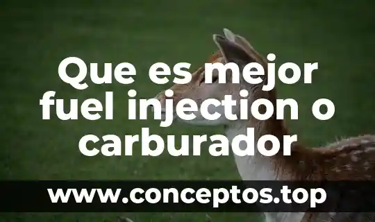 Que es mejor fuel injection o carburador