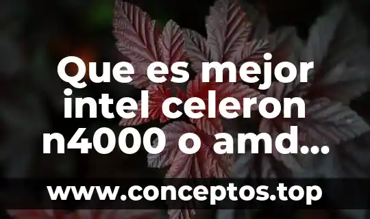 Que es mejor intel celeron n4000 o amd a4 9125