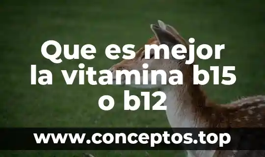 Que es mejor la vitamina b15 o b12