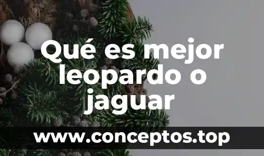 Qué es mejor leopardo o jaguar