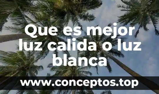 Que es obra negra gris y blanca 4 Que es mejor luz calida o luz blanca