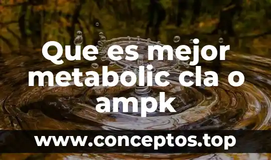 Que es fuente y tipos de fuente 5 Que es mejor metabolic cla o ampk