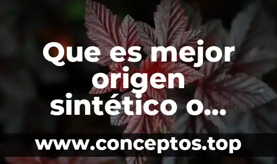 Que es mejor origen sintético o origen animal