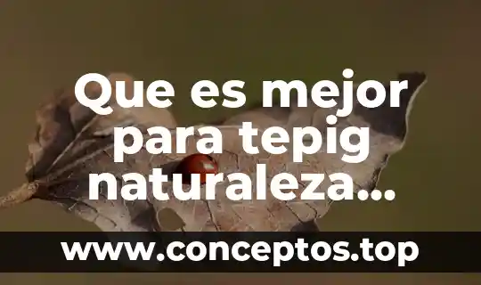 Que es mejor para tepig naturaleza picara o firme