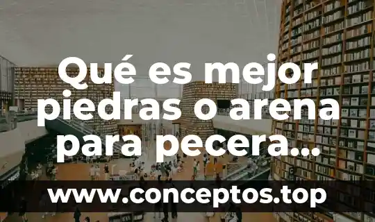 Qué es mejor piedras o arena para pecera tortugas