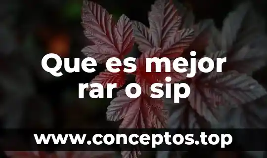 Que es mejor rar o sip