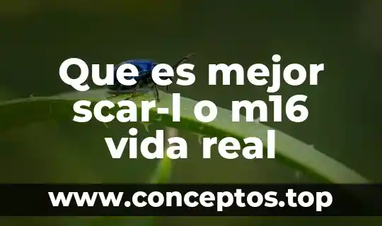 Qué es mejor cisterna rotoplas o convencional 4 Que es mejor scar-l o m16 vida real