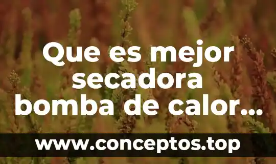 Qué es bomba presurizadora de agua 3 Que es mejor secadora bomba de calor o condensacion