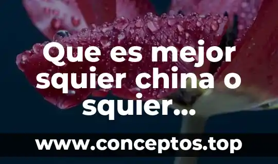 Que es mejor squier china o squier indochina