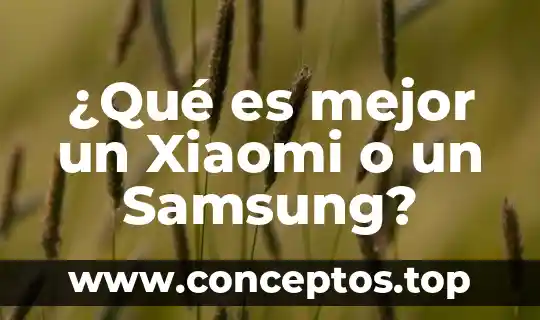 Que es ser pilo 5 ¿Qué es mejor un Xiaomi o un Samsung?