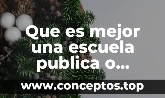 Que es mejor una escuela publica o privada