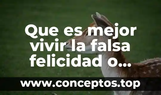 Que es mejor vivir la falsa felicidad o verdadera felicidad