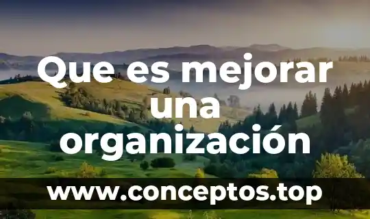 Que es mejorar una organización