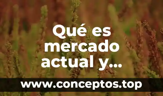 Qué es mercado actual y potencial