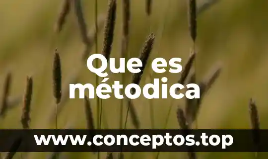 Que es métodica