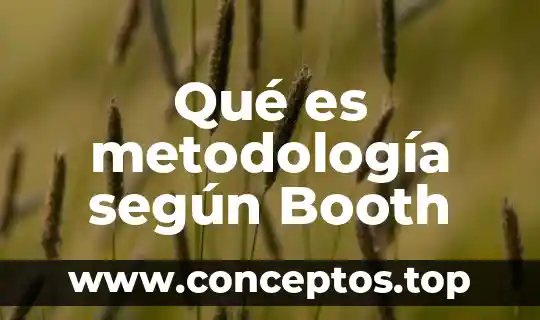 Que es la metodología del trabajo interdisciplinario 8 Qué es metodología según Booth
