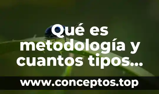Qué es metodología y cuantos tipos hay