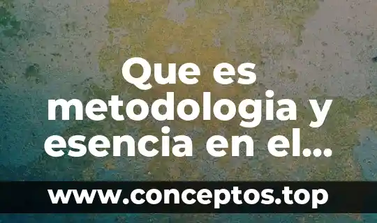 Que es la metodología del trabajo interdisciplinario 3 Que es metodologia y esencia en el diseño