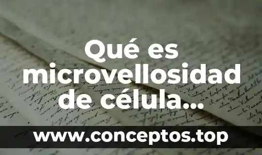 Qué es microvellosidad de célula vegetal