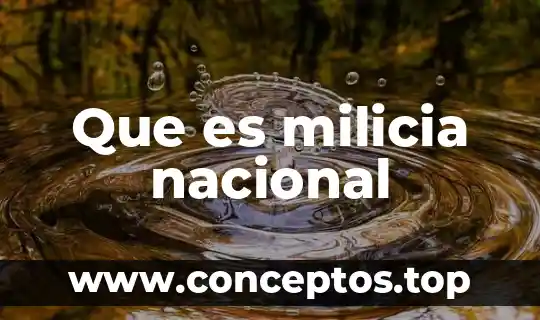 Que es milicia nacional