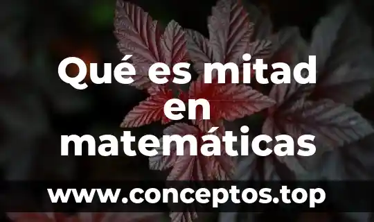 Qué es mitad en matemáticas