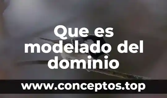 Que es modelado del dominio