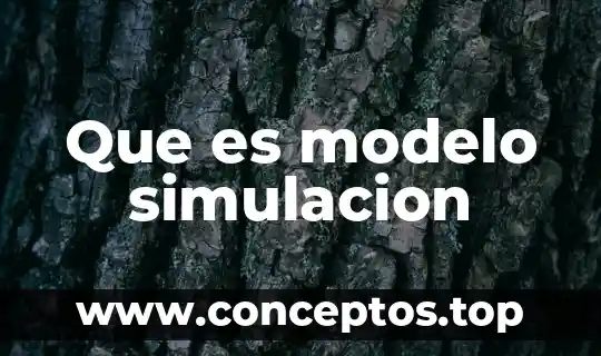 Que es modelo simulacion
