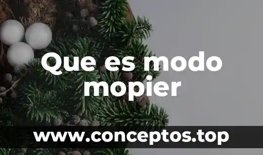 Que es el modo compuesto 8 Que es modo mopier