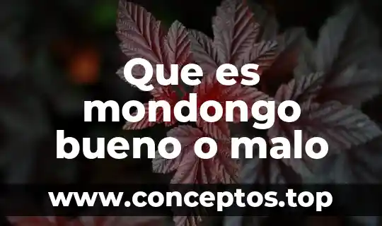 Que es mondongo bueno o malo