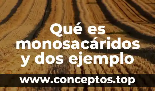 Qué es monosacáridos y dos ejemplo