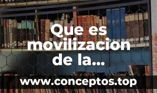 Que es movilizacion de la informacion