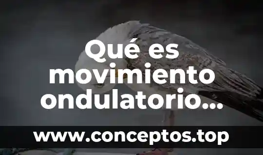 Que es ell movimiento ondulatorio 5 Qué es movimiento ondulatorio periódico