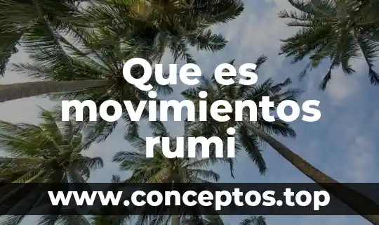 Que es movimientos rumi