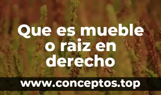 Que es mueble o raiz en derecho