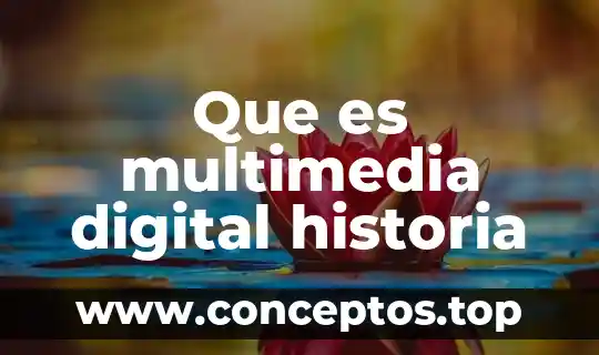 Que es una representación digital 7 Que es multimedia digital historia