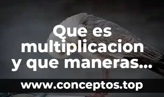 Que es un verbo y que tipos hay 8 Que es multiplicacion y que maneras hay de hacerla