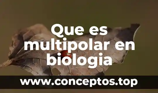 Qué es un sistema semiabierto en biologia 8 Que es multipolar en biologia