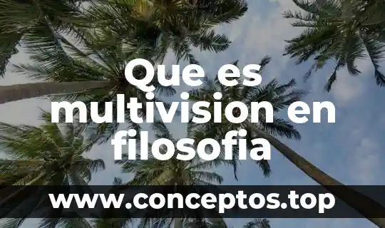 Que es multivision en filosofia