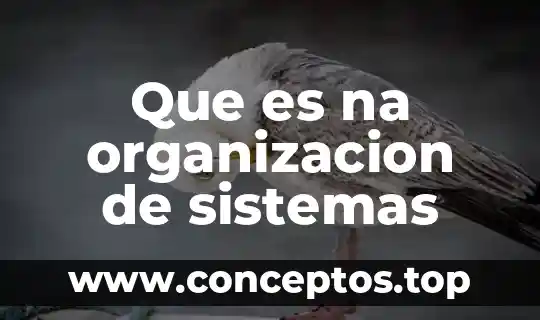 Que es na organizacion de sistemas
