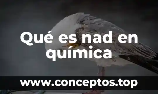 Que es nombre de stock en quimica 8 Qué es nad en química
