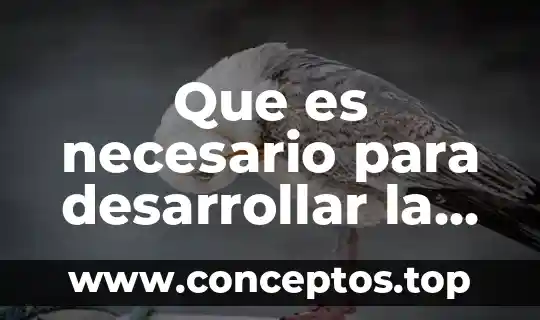 Que es necesario para desarrollar la autoestima